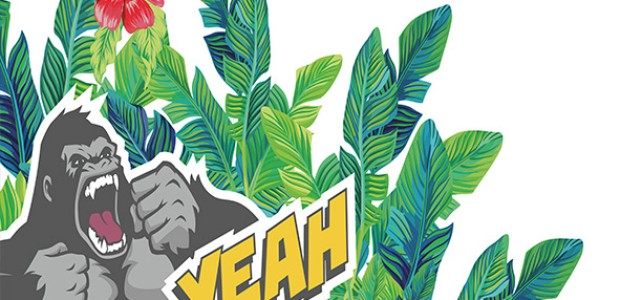 Teba DUETTE Wabenplissee SIEGER MarvellousMonkey